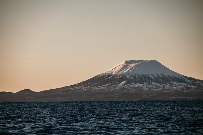 2 Hour Private Marine Wildlife Tour - Final Thoughts: Is it Worth It?