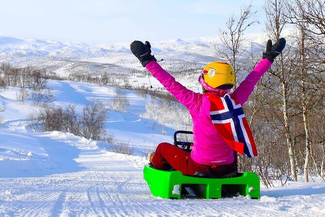 2-Hour Racing Toboggan at Dagali Fjellpark near Geilo in Norway - Who Should Consider This Experience?