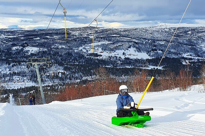 2-Hour Racing Toboggan at Dagali Fjellpark near Geilo in Norway - FAQs