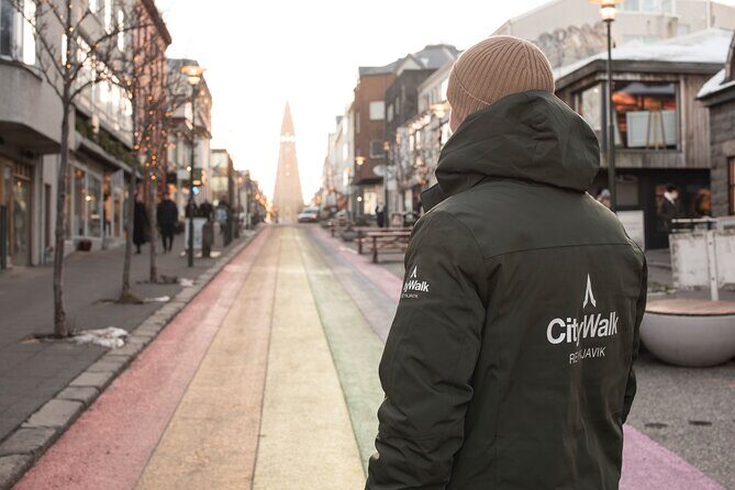 2-Hour Reykjavik Private Walking Tour - What You Can Expect from the 2-Hour Itinerary