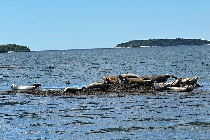 2 Hour Scenic Powerboat Cruise Experience Portland's Waterfront - Who Will Love This Experience?