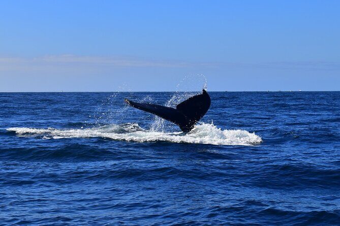 2-Hour Shore Excursion | Arch, Lovers Beach & Whale Encounters - FAQs