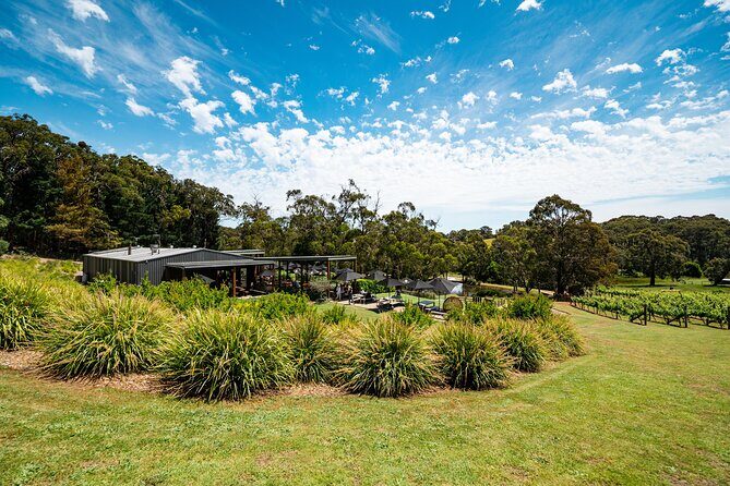 2-Hour Sparkling Brunch on the Mornington Peninsula - Who Should Consider This Tour?