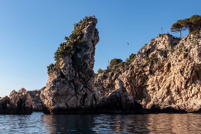 2 Hour Sunset Dolphin Watching Shared Tour in luxury boat - What to Expect from the Experience