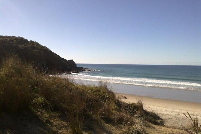 2 Hour Surf Lesson - Te Arai Beach - Key Points