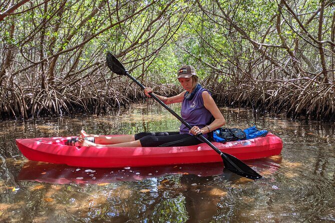 2 Hour Tandem Kayak Tour (Price for 2 People) - An In-Depth Look at the 2-Hour Tandem Kayak Tour