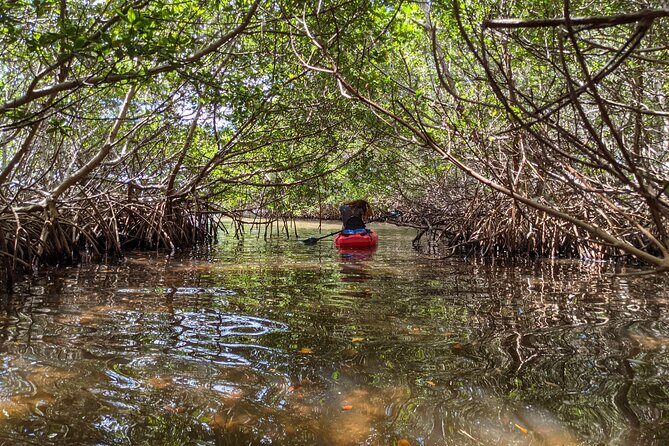 2 Hour Tandem Kayak Tour (Price for 2 People) - Frequently Asked Questions