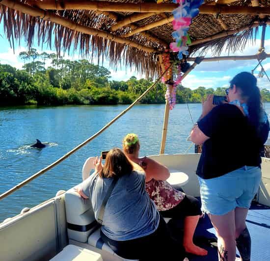 2 Hour Tiki Dolphin Sightseeing Tour in Cocoa Beach - A Detailed Look at the Experience