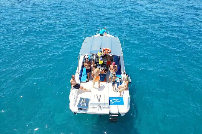 2 hour trip to see whales dolphins puerto colon adeje - Key Points