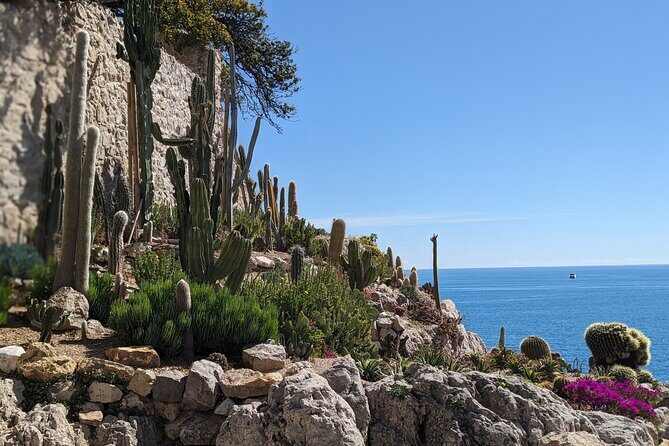 2 Hour Walking Tour in the Old Town of Antibes - Who Will Love This Tour?