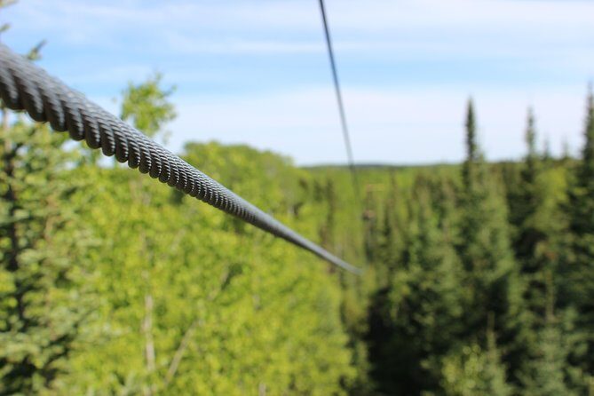 2 Hour Waskesiu Zipline Afternoon Adventure - Key Points