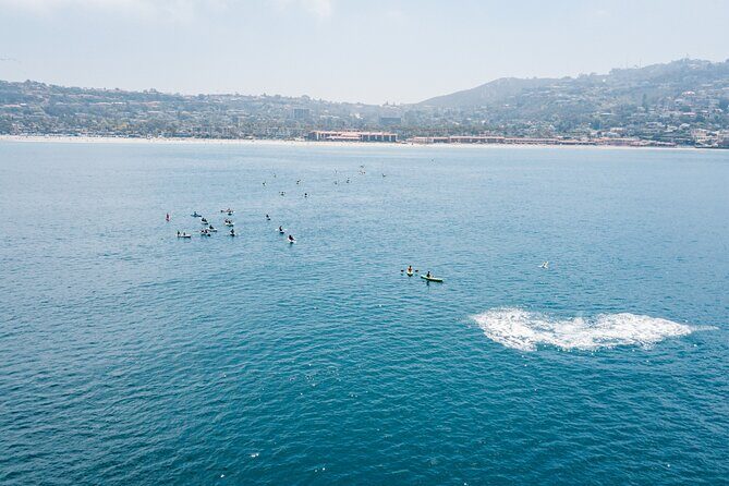 2 Hour Whale Watching Kayak Tour for Two - FAQ