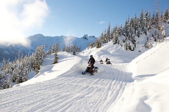 2 Hour Wilderness Adventure Snowmobile Tour in Whistler - Key Points
