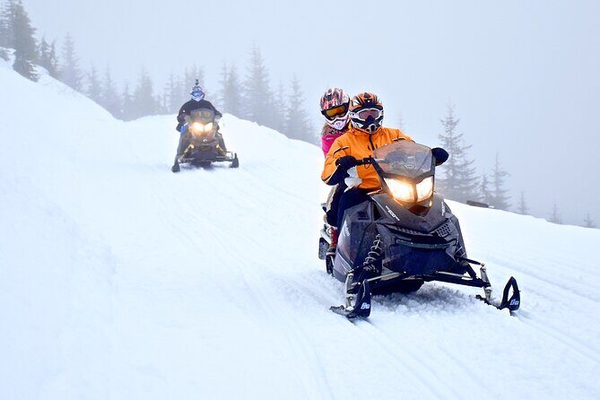2 Hour Wilderness Adventure Snowmobile Tour in Whistler - Who Should Book This Tour?