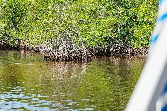 2 Hour Wildlife Adventure - A Closer Look at the Wildlife Adventure