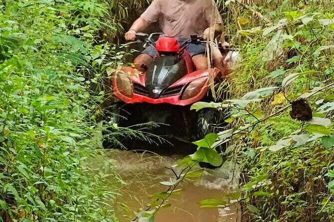 2 Hours Bali ATV Ride with Lunch Experience - Key Points