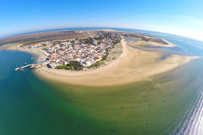 2 Hours Boat Tour in Ria Formosa - What the Reviews Tell Us