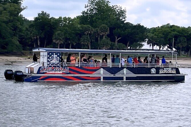 2 Hours Dolphin Eco Tour - Final Thoughts: Who Should Book?