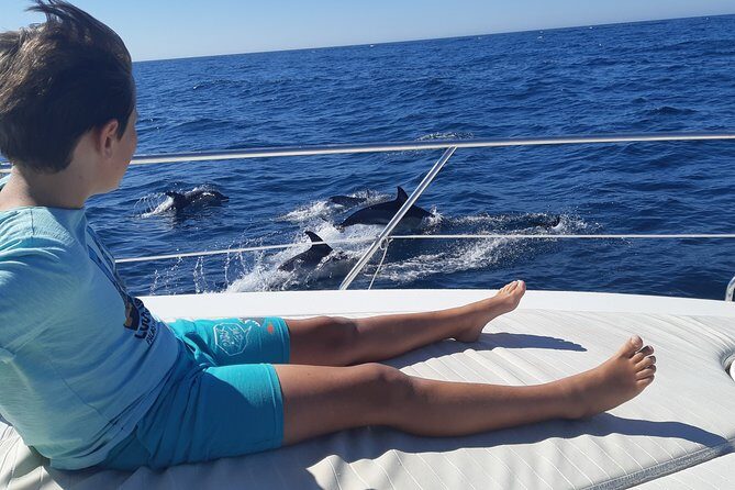 2 Hours Dolphin Watching in Marbella - A Closer Look at the 2 Hours Dolphin Watching in Marbella