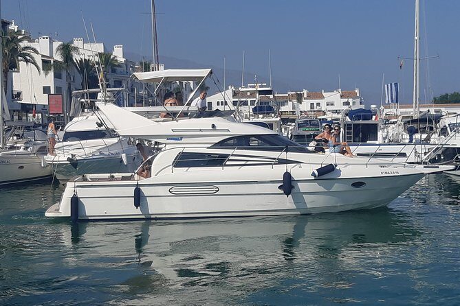 2 Hours Dolphin Watching in Marbella - Authentic Reviews: What Travelers Are Saying