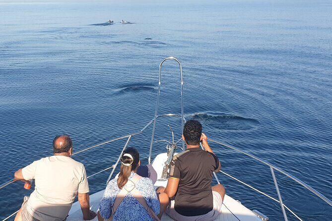 2 Hours Dolphin Watching in Marbella - FAQs