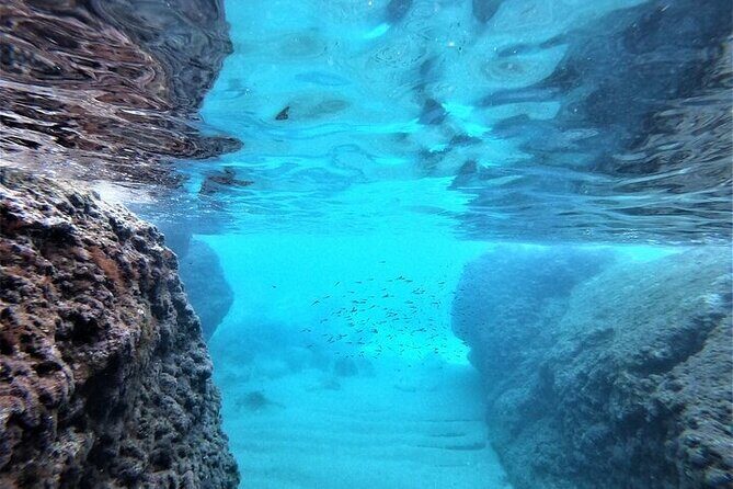 2 hours Elafiti Islands Private Tour by Barracuda 545 - Who Might Want More?