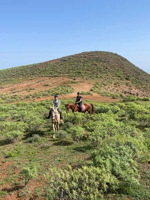 2 hours Green Mountains Horse Riding Tour - Key Points