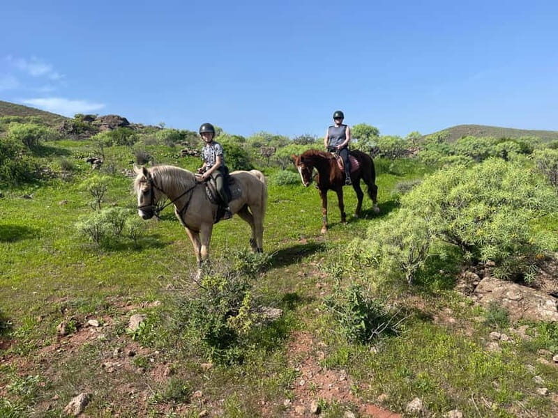 2 hours Green Mountains Horse Riding Tour - Starting Point and Arrival Logistics