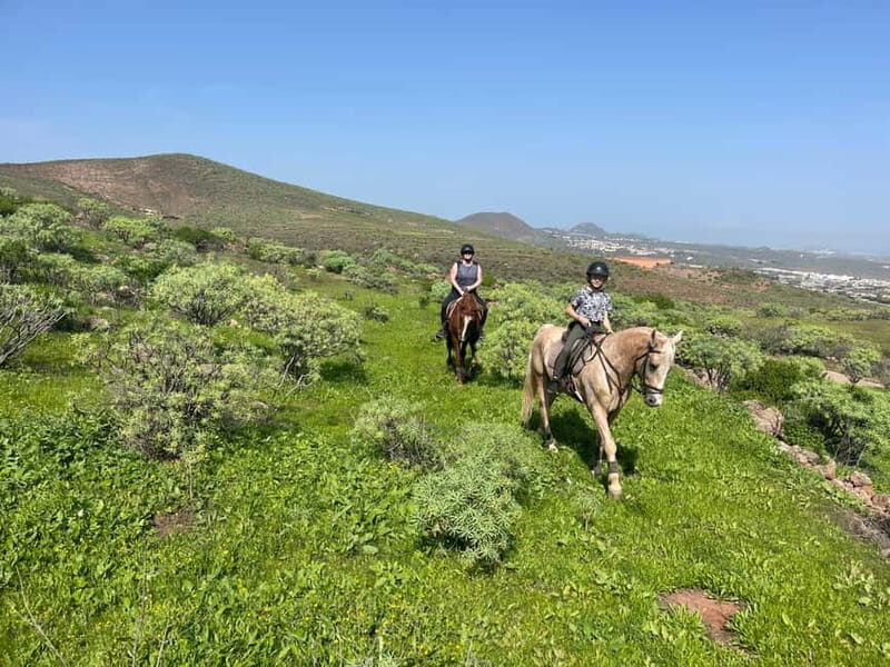 2 hours Green Mountains Horse Riding Tour - The Itinerary: What to Expect