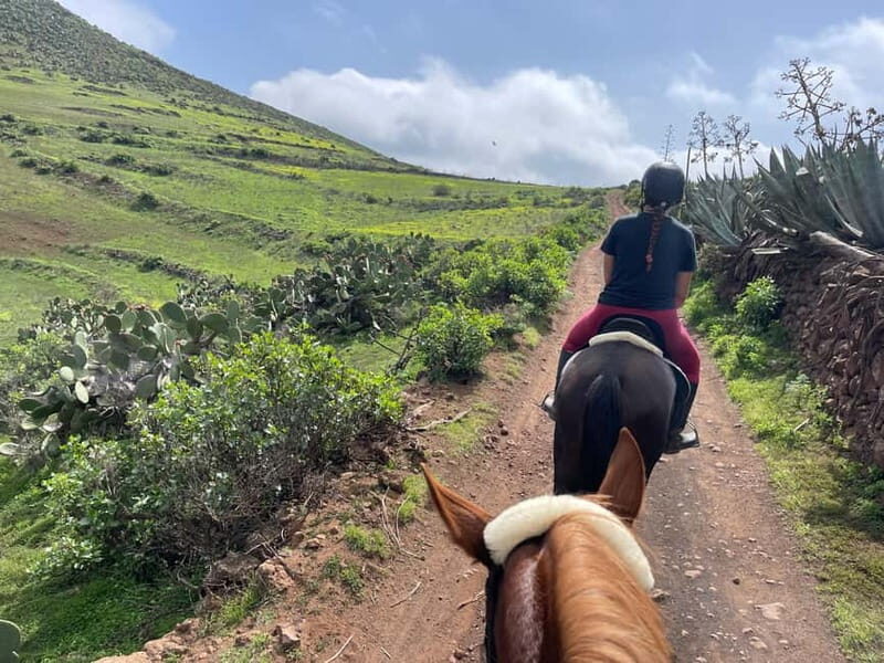 2 hours Green Mountains Horse Riding Tour - Authentic Experience Based on Reviews