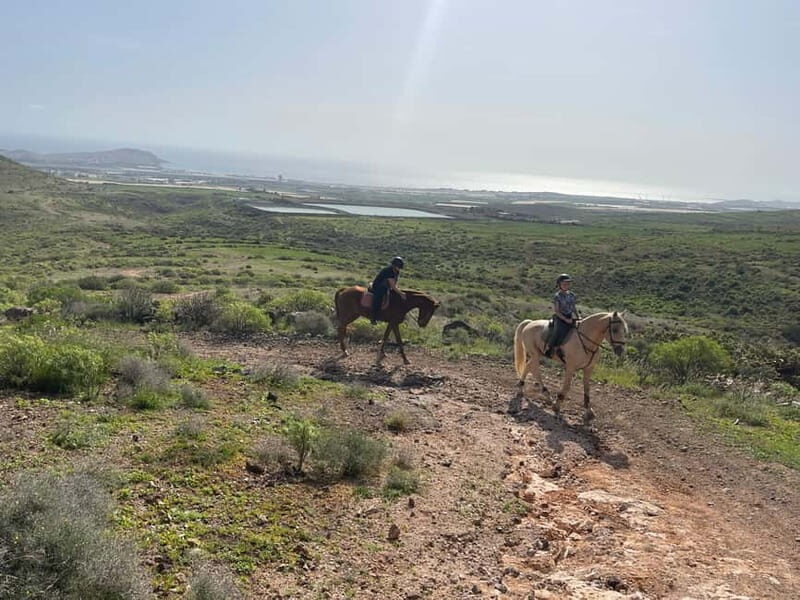 2 hours Green Mountains Horse Riding Tour - Why This Tour Offers Good Value