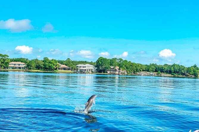 2 Hours Guided Dolphin Tour in Florida - Key Points