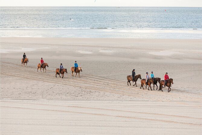 2 hours Horse Riding Excursion near the Beach in Alcúdia bay - Key Points