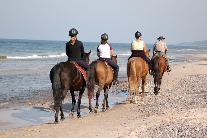2 hours Horse Riding Excursion near the Beach in Alcúdia bay - Meeting Point, Timing, and Practical Details