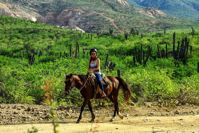 2 Hours Horseback Riding Adventure in Cabo - The Itinerary: What to Expect