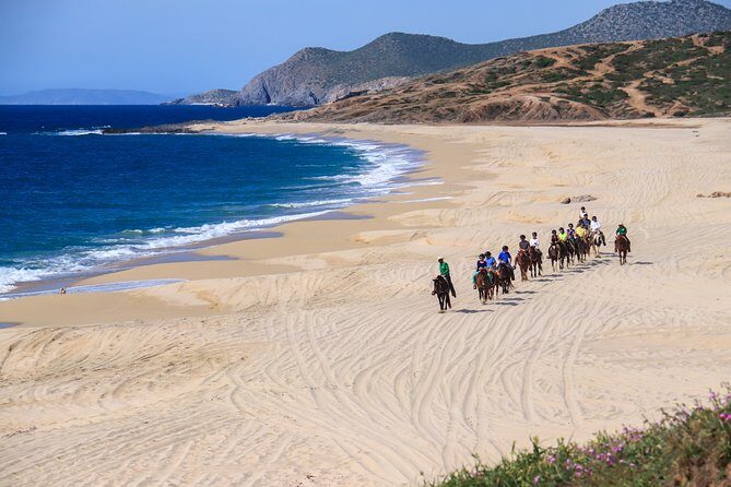 2 Hours Horseback Riding Adventure in Cabo - FAQ