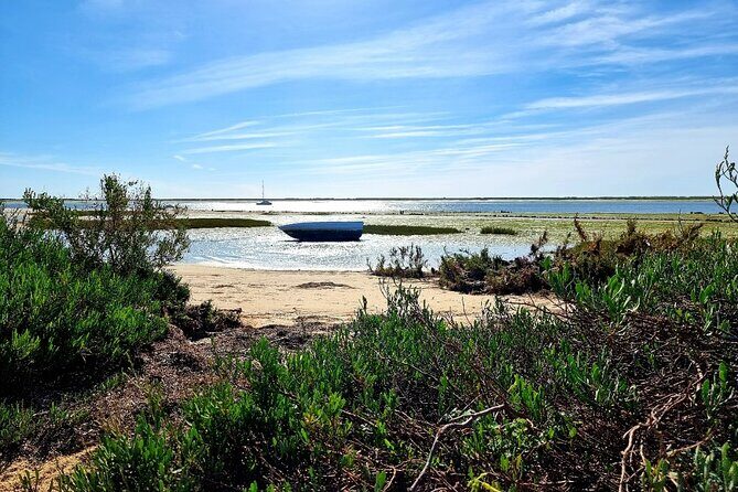 2 Hours Kayak Island Tour in the Natural Park of Ria Formosa - Value and Practical Tips