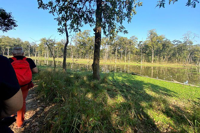 2 Hours Nature Walk in Chitwan National Park - Exploring Chitwan National Park on a 2-Hour Nature Walk: An Honest Review