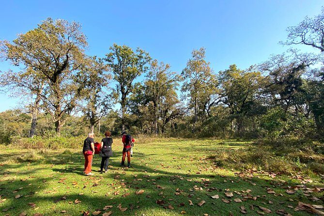 2 Hours Nature Walk in Chitwan National Park - Key Points