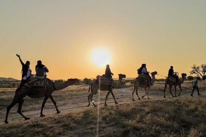 2 Hours of Camel Safari in Cappadocia - The Experience: What to Expect from the Camel Safari