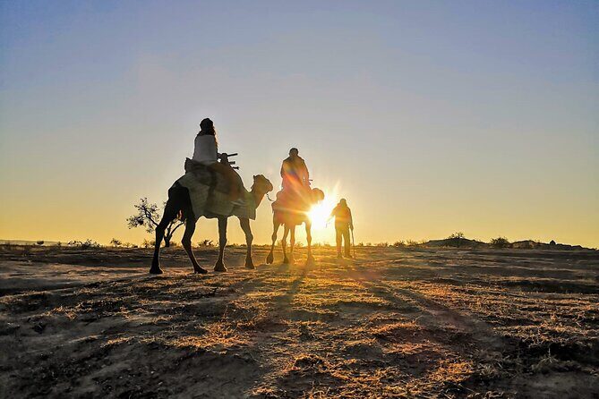 2 Hours of Camel Safari in Cappadocia - Final Thoughts: Is it Worth It?