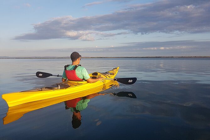 2 Hours of Kayak Safari in Bahía de La Paz - Final Thoughts
