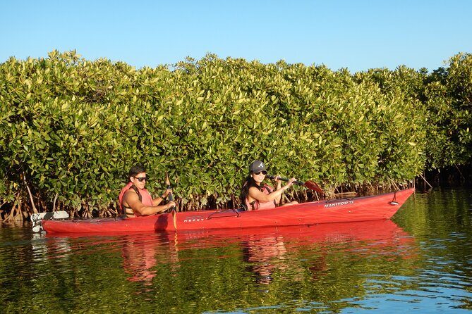 2 Hours of Kayak Safari in Bahía de La Paz - FAQ