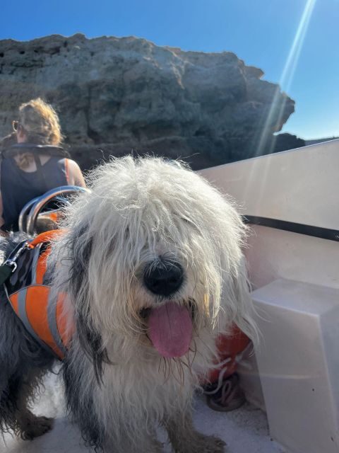 2 Hours Private Benagil Caves and Beaches Boat Tour - FAQs