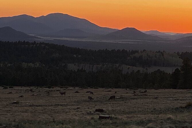2 Hours Private E-Bike Tours In Northern Arizona - Who is This Tour Best For?