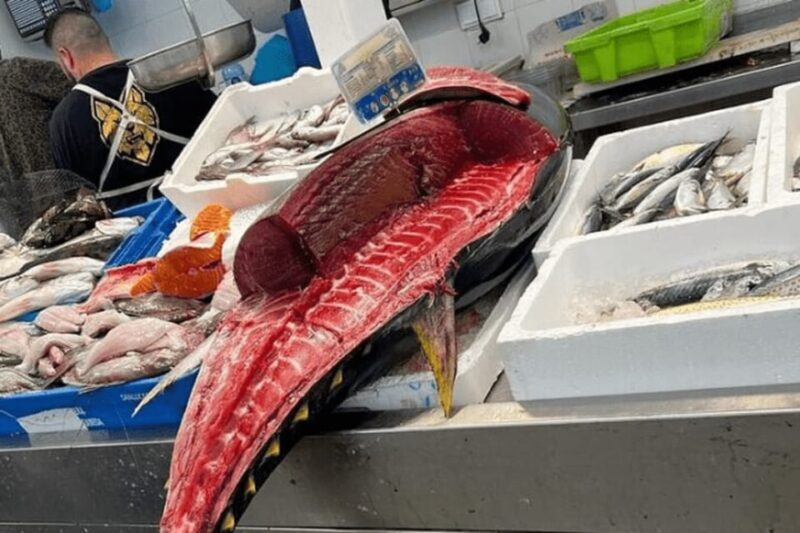 2 Hours Private Historical Tour in Cadiz - Who Would Love This Tour?