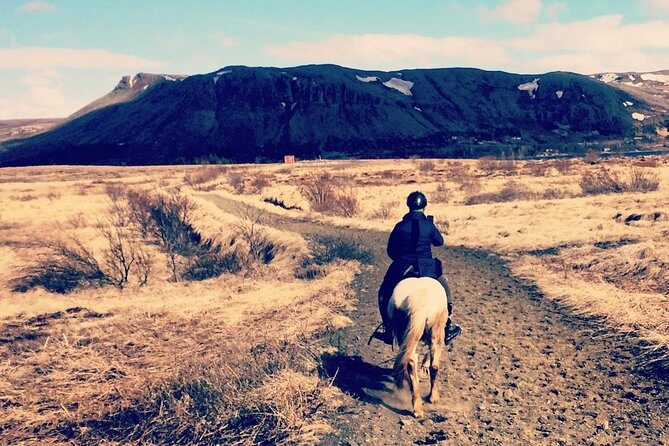 2 hours Private Horse Riding to Lake Hafravatn, Reykjavík - Mos - Discover Iceland from the Saddle: A Detailed Look at the Private Horseback Ride to Lake Hafravatn