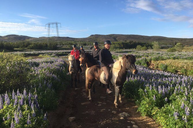 2 hours Private Horse Riding to Lake Hafravatn, Reykjavík - Mos - Key Points