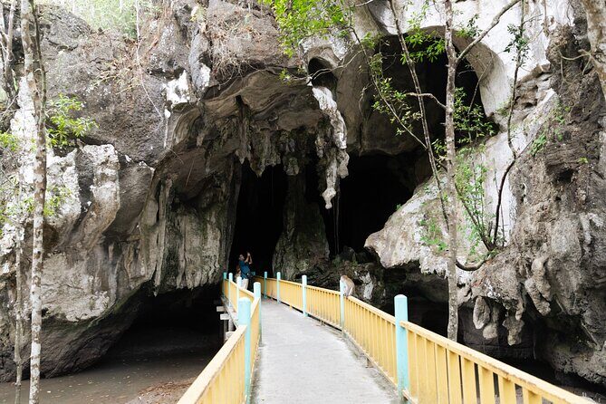 2 Hours Private Mangrove Tour Langkawi - Detailed Guide to the 2-Hour Mangrove Tour