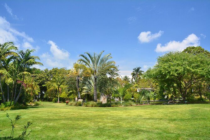 2 Hours Private Walking Tour in Miami Beach - Who Will Love This Tour?
